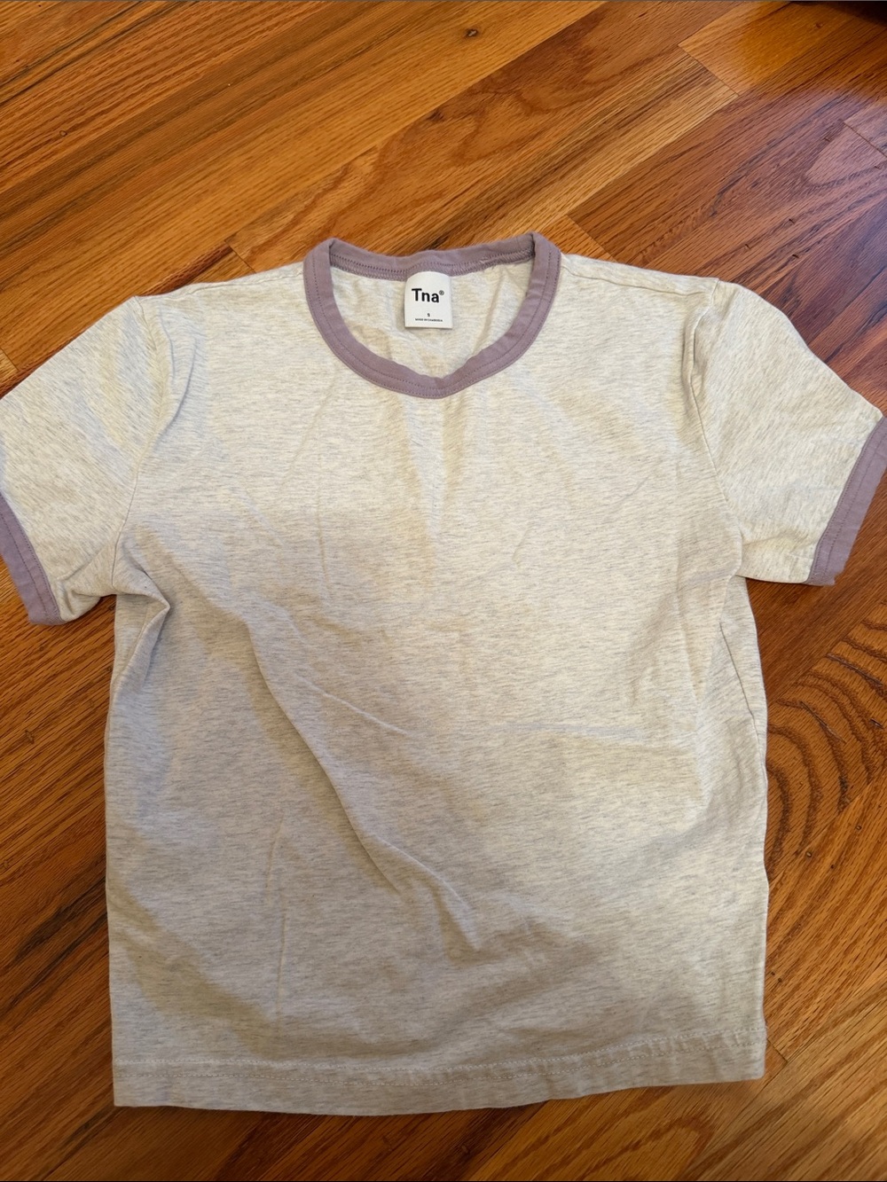 TNA Men's Light Gray Ringer Tee with Mauve Trim